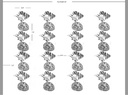 Layout CAD - Four Stripes | Seychelles Vertical 4 Stripes.jpg