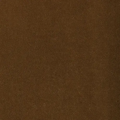 103-REMBRANDT-496