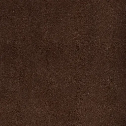 103-REMBRANDT-555