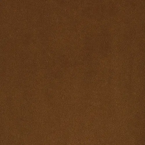103-REMBRANDT-560