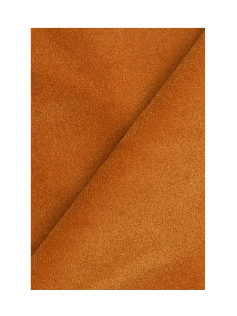 Jaipur-26