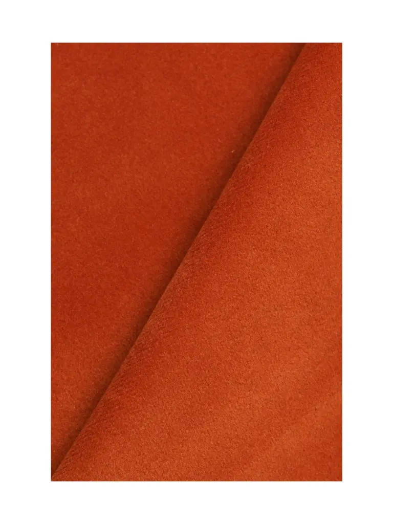 Jaipur-27