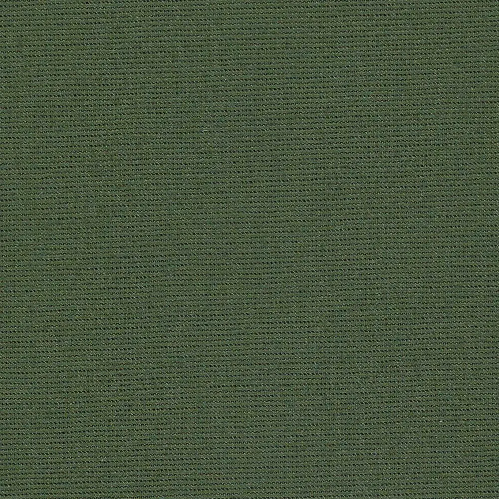 Salma-42