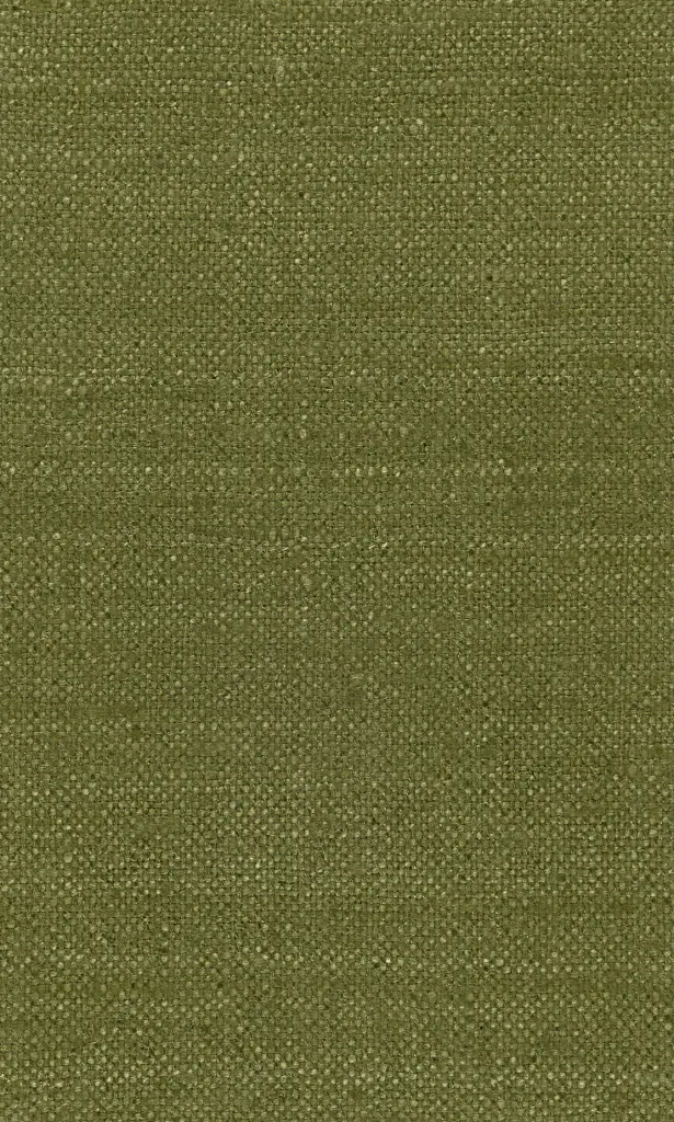 Zinnia-18