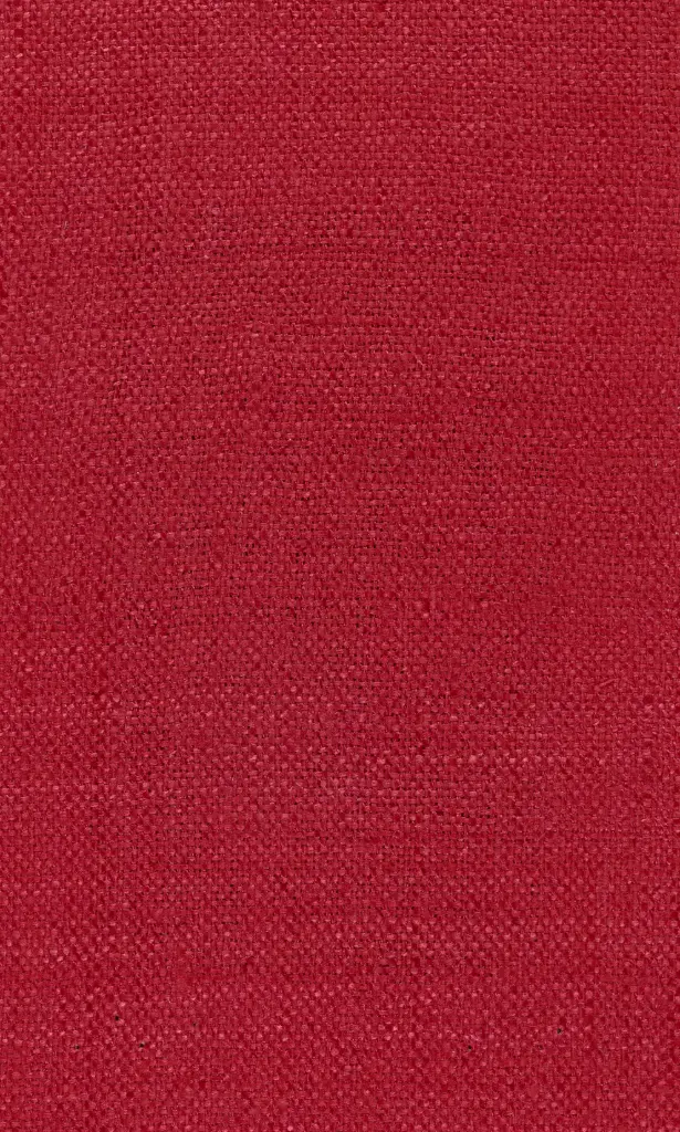Zinnia-25
