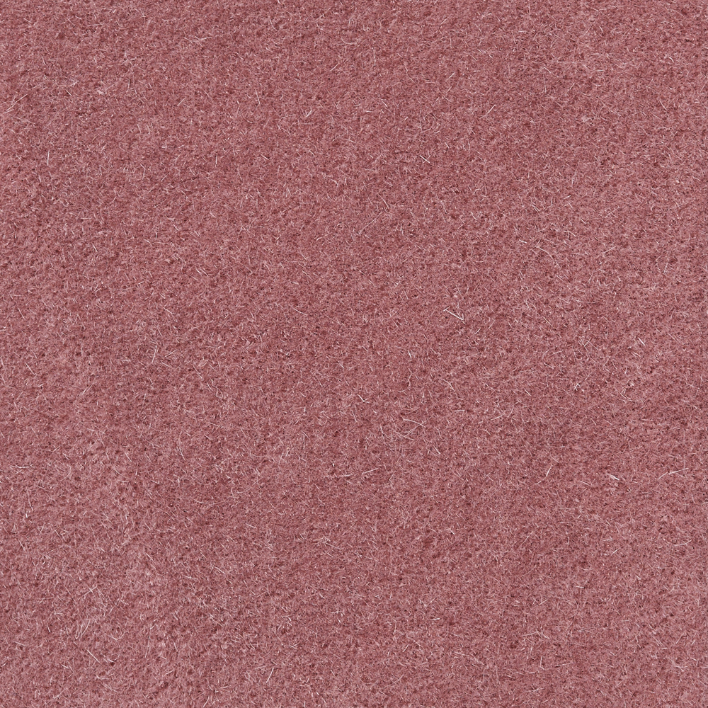 Duke-20