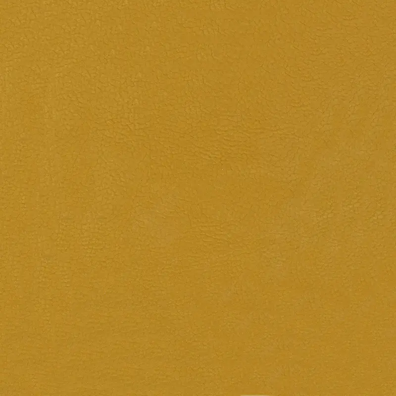 Seneca-40
