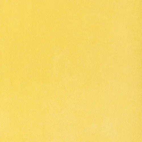 [38209-51] 103-REMBRANDT-426
