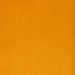 [38209-59] 103-REMBRANDT-482
