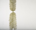 Camara-Leading Edge