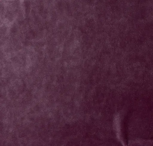 [25183-20] Emilia-20