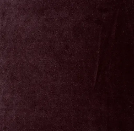 [25183-21] Emilia-21