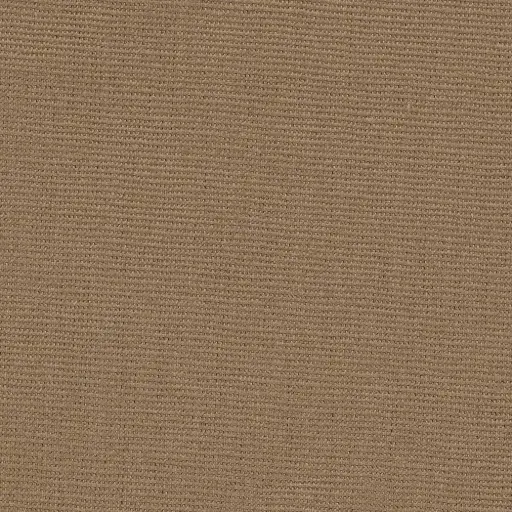 [25221-10] Georgia-10