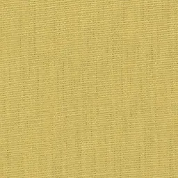 [25221-13] Georgia-13