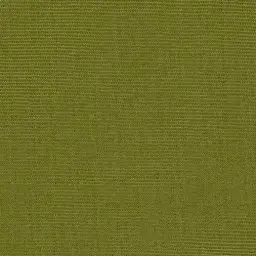 [25221-24] Georgia-24