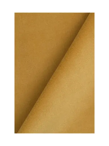 Jaipur-24