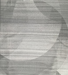 [38028-02] Larvotto-02