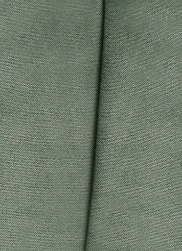 [38018-25] Raj-25