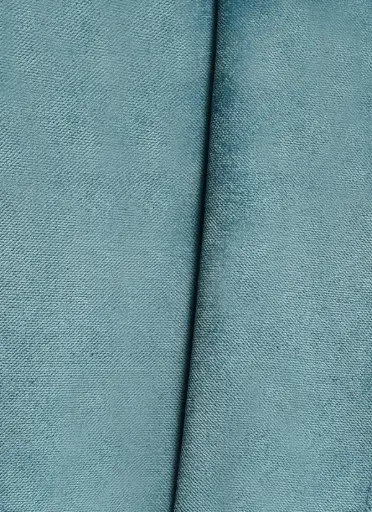 Raj-31