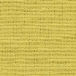 [25569-01] Salma-01