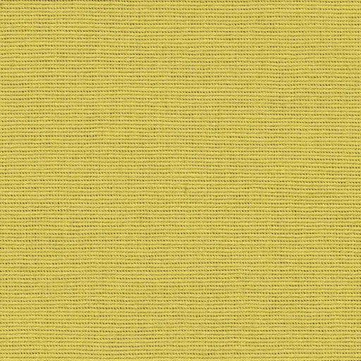 [25569-01] Salma-01