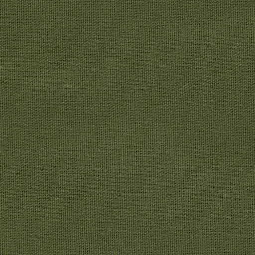 [25569-04] Salma-04