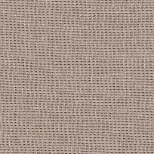 Salma-23