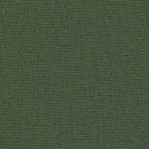 Salma-42