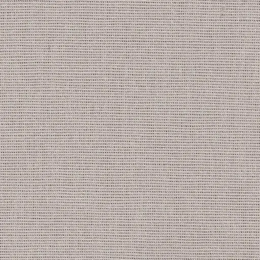 [25569-46] Salma-46