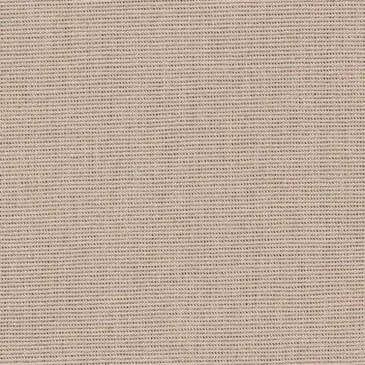 [25569-52] Salma-52