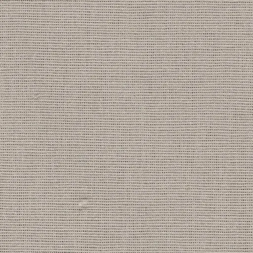 [25569-53] Salma-53