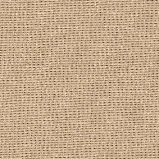 [25569-59] Salma-59