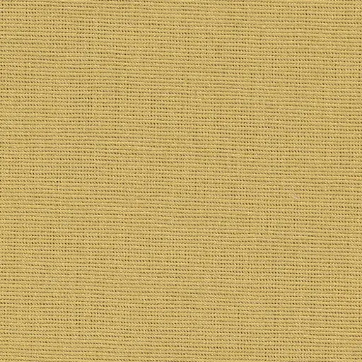 [25569-60] Salma-60
