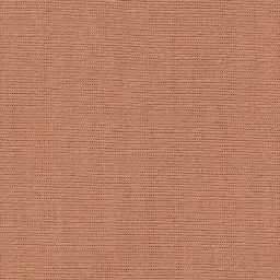 [25569-75] Salma-75