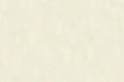 [38095-01] Tao-01