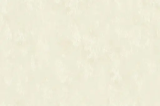 [38095-01] Tao-01