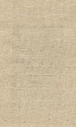 [25728-03] Zinnia-03