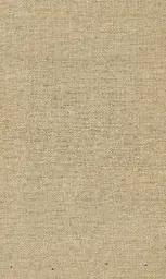 [25728-06] Zinnia-06