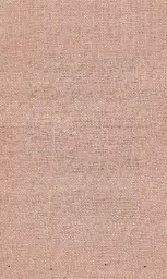 [25728-07] Zinnia-07