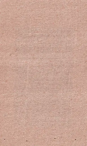 [25728-07] Zinnia-07
