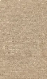 [25728-10] Zinnia-10