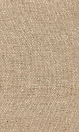 Zinnia-10