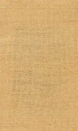 [25728-11] Zinnia-11