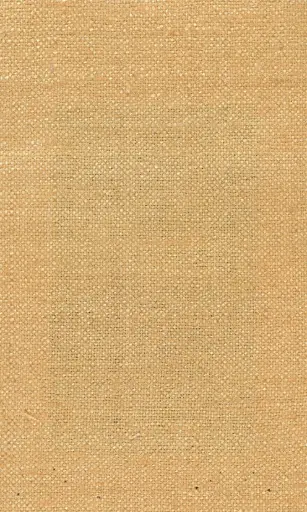 [25728-11] Zinnia-11