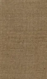 [25728-12] Zinnia-12