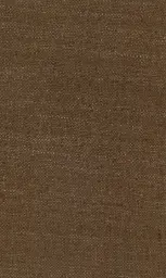 [25728-14] Zinnia-14