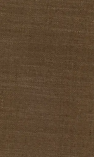 Zinnia-14