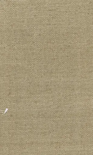 [25728-15] Zinnia-15