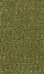 [25728-18] Zinnia-18