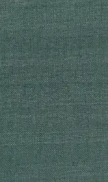 [25728-20] Zinnia-20